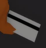Executive Access Card - VIP Areas